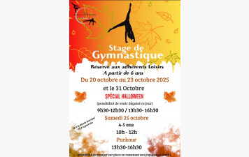 Stage loisirs et Parkour